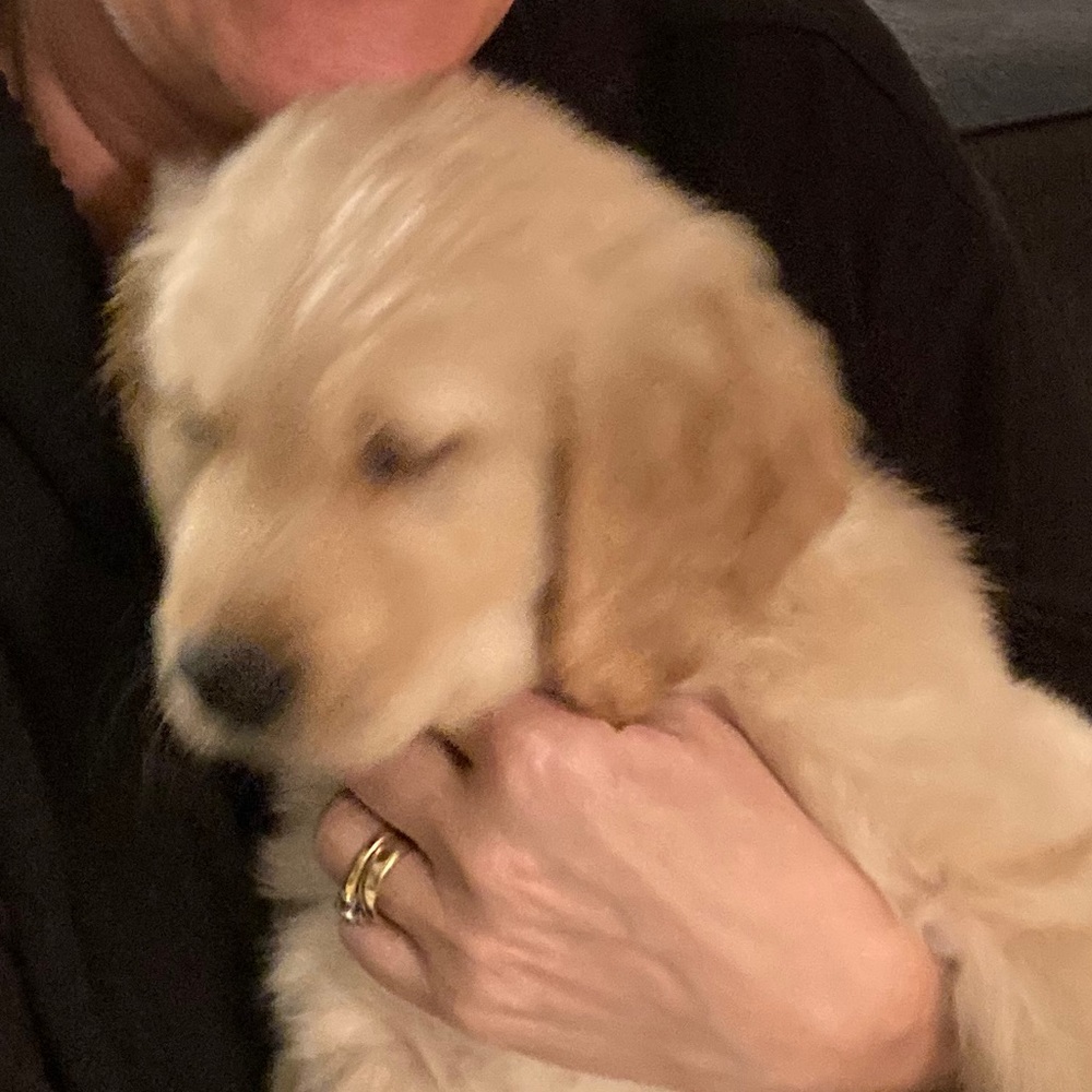 Meet your Posher, Lori